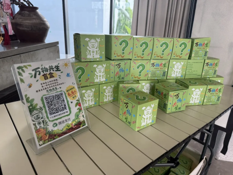 安晓彤《食间盲盒》
