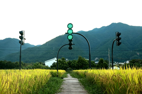 孟柏伸《路口》

交通红绿灯，尺寸可变，2026年
