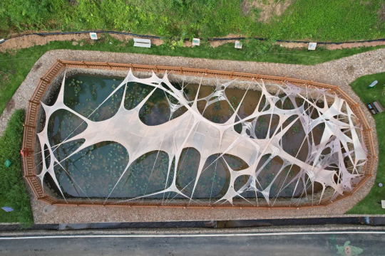 第二届广东蕉岭大地艺术季开幕！掀起艺术赋能乡村实践