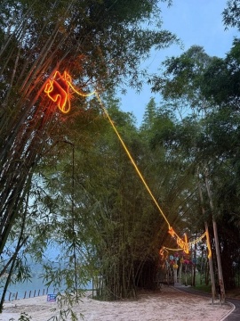 张增增《一场雨的长度》
装置，长度440米，2026年
